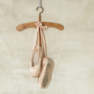 Professional Pointe Shoes